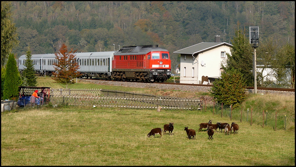 F�r die Milit�rtransporte in Man�vergebiete werden Begleitwagen f�r Soldaten und Offiziere beigestellt, hier zu sehen bei einem Transport am 14.10.2010 mit 232 535.
