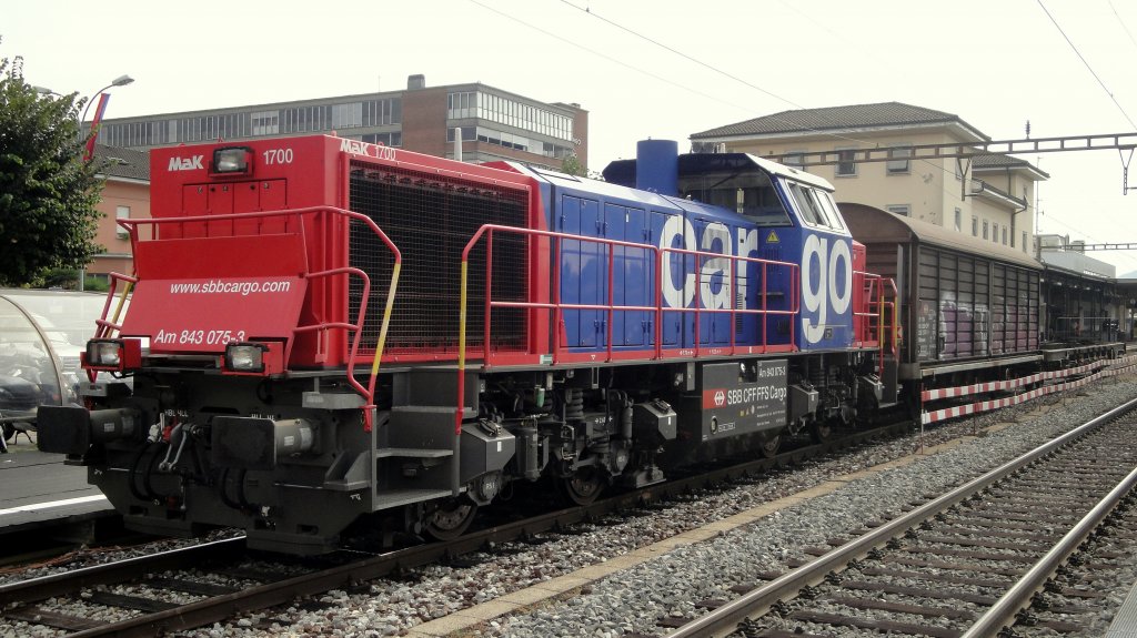 Fr den Rangierdienst im Raum Mendrisio (+ Stabio, Balerna) ist momentan (16.09.11) die Am 843 075-3 eingeteilt. Dies jedoch mit einem erkennbaren Schaden.