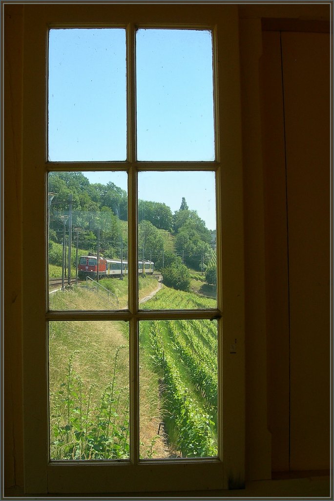 Genug gewartet, der Zug kommt...
(Bossire, den 25.05.2011)