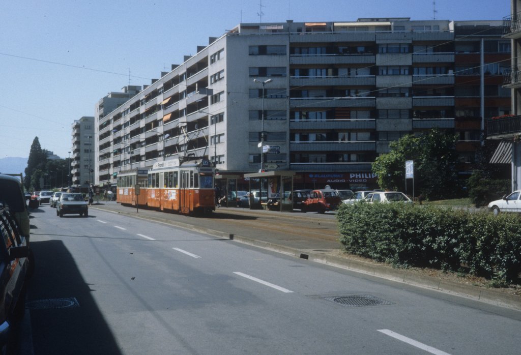 Genve / Genf TPG Tram 12 (Be 4/4 703) Rue de Genve am 25. Juli 1986.