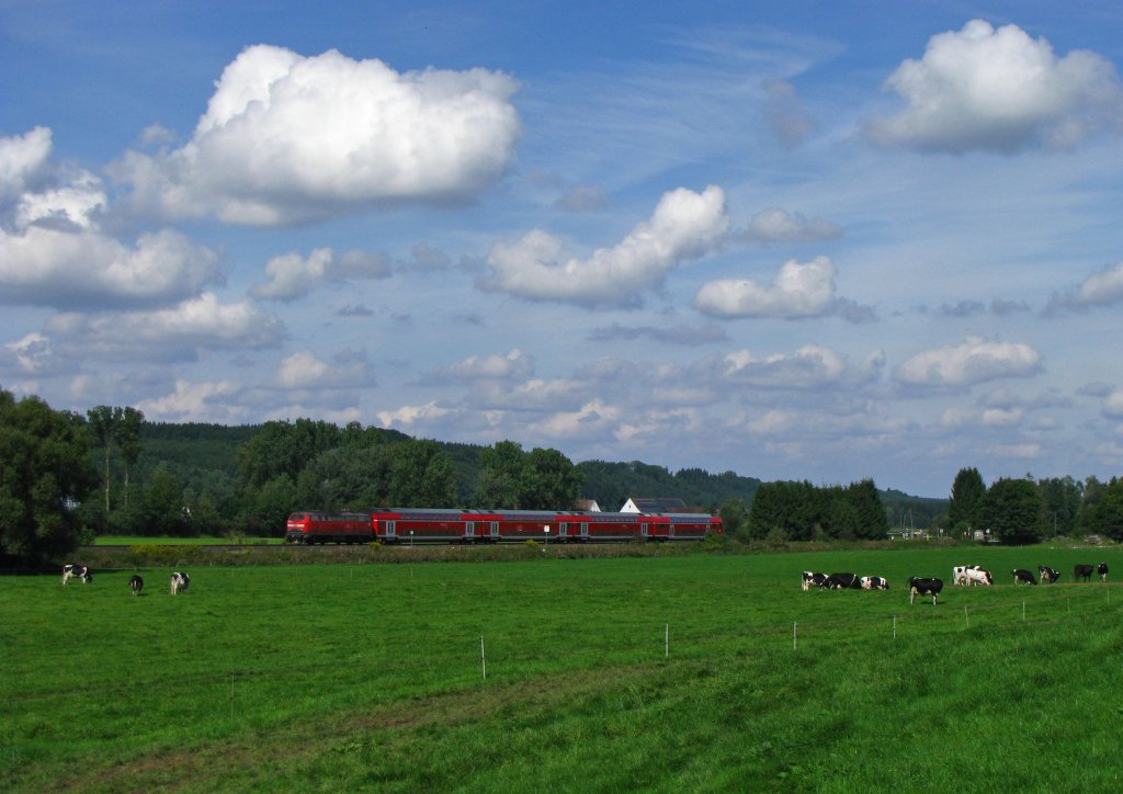 Geschoben von einer 218 fhrt IRE 4230 (Lindau Hbf-Stuttgart Hbf) ber die Sdbahn und passiert hier bei Schweinhausen eine Herde grasender Khe. (11.September 2010)