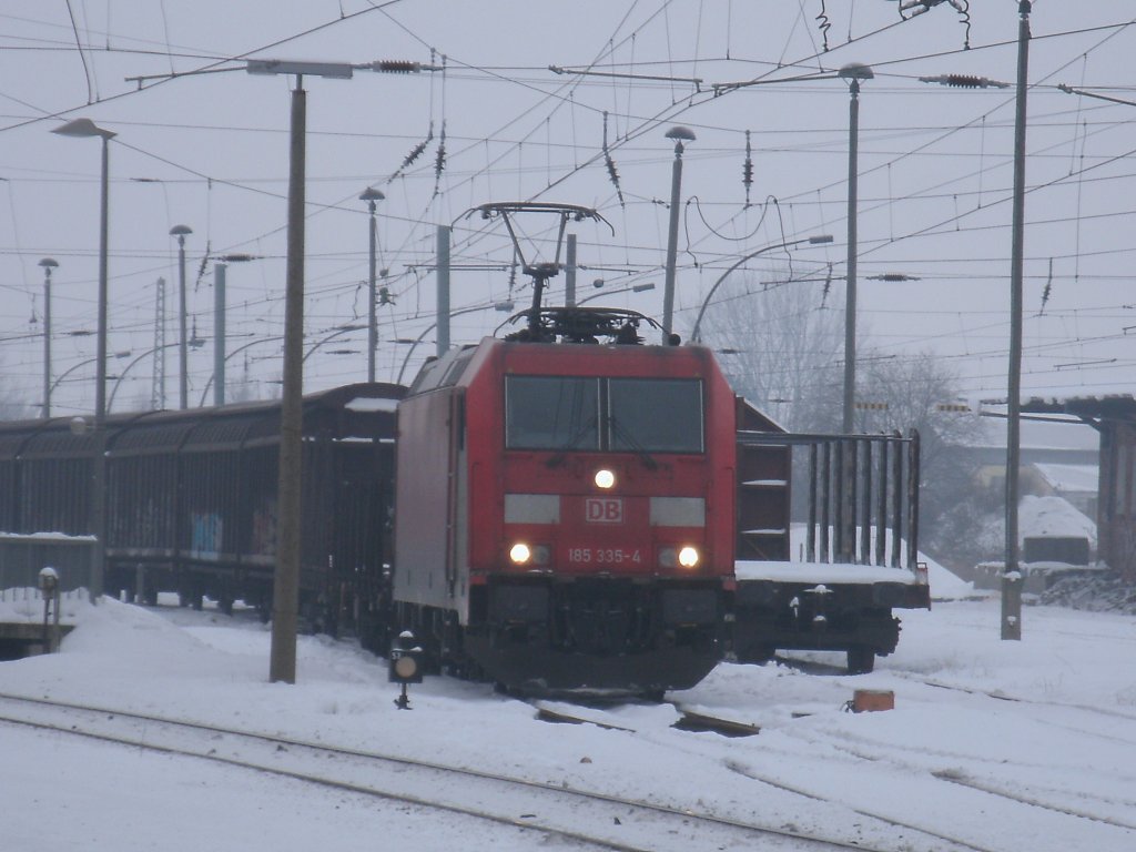  Gestrandete  185 335,am 14.Dezember 2012,in Bergen/Rgen.
