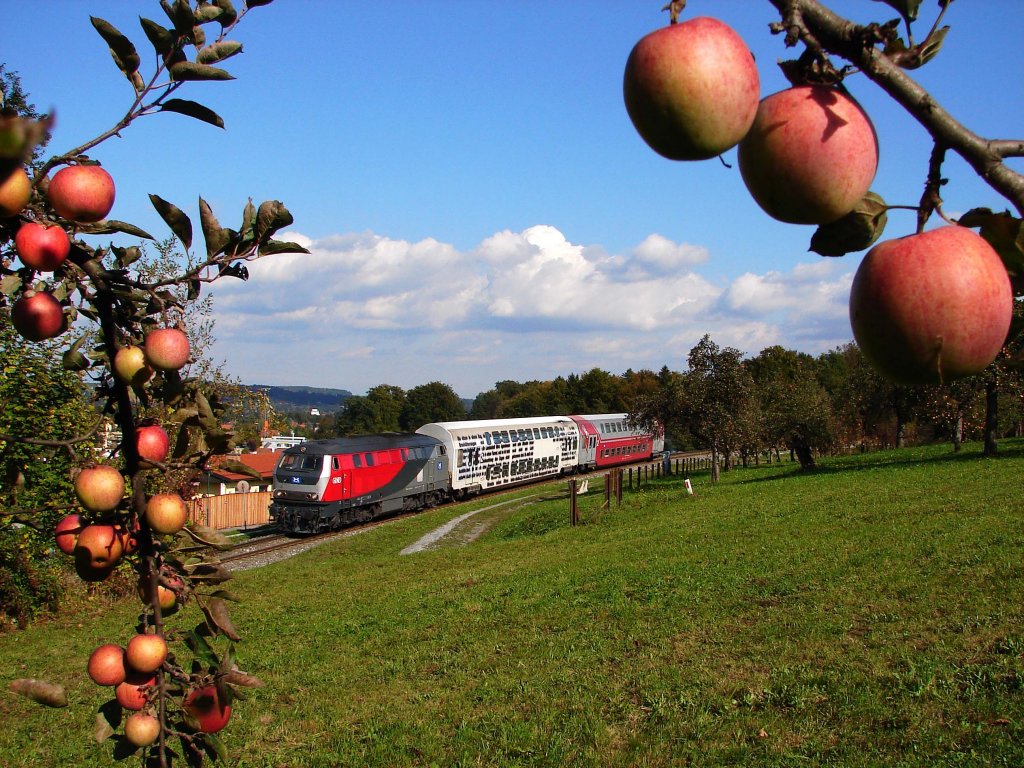 GKB  Plan B  218 256 bei Leibenfelder Hhe kurz vor Deutschlandsberg mit Apfelbume.
14.10.2011.