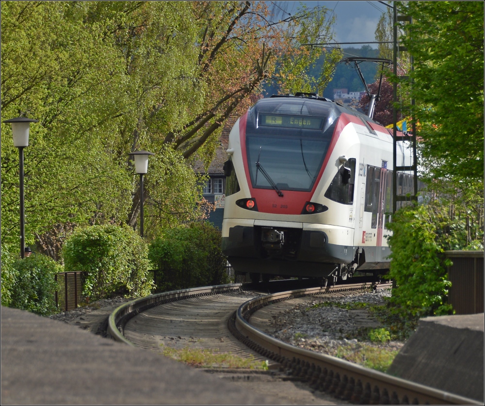 Gleich entwischt das Hschen ber See und Rhein. Konstanz, im Mai 2013.