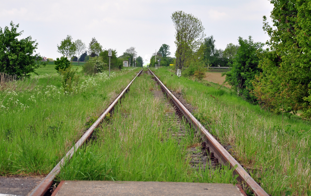 Gleich mu er kommen, der  Boerdeexpress , auf einer stillgelegten Strecke, die an ca.10 Fahrtagen im Jahr in Betrieb ist. Aufgenommen an einem bergang fr landwirtschaftliche Fahrzeuge - in der Nhe von Zlpich - 16.05.2010