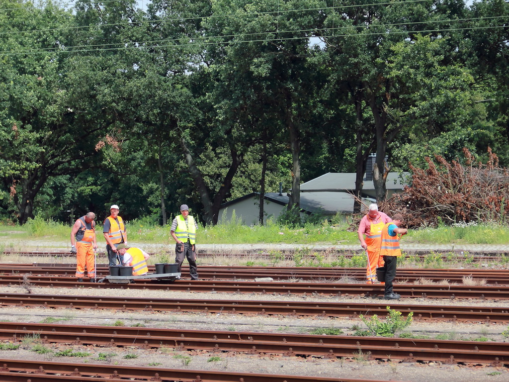 Gleisarbeiten am 01. August  im Bereich des Bahnhof Oranienburg.