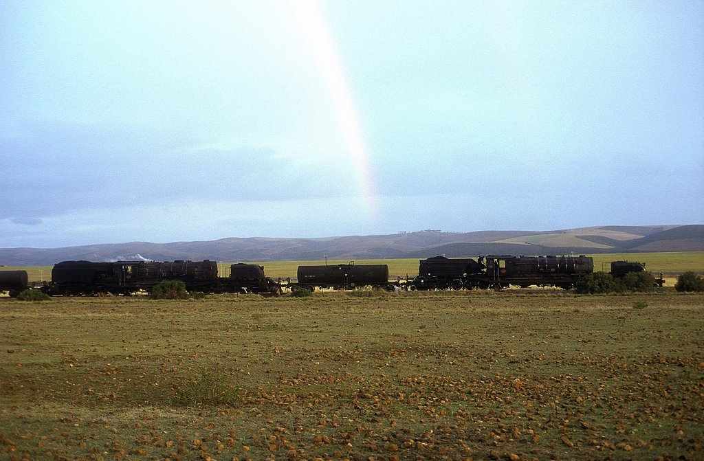 GO-2575 + GMAM-4122  Karnemelk  31.08.01