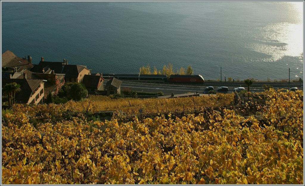 Goldener Oktober im Lavaux: Eine Re 460 fhrt mit ihrem IR Richtung Lausanne dem Lac Lman entlang.
29. Okt. 2012