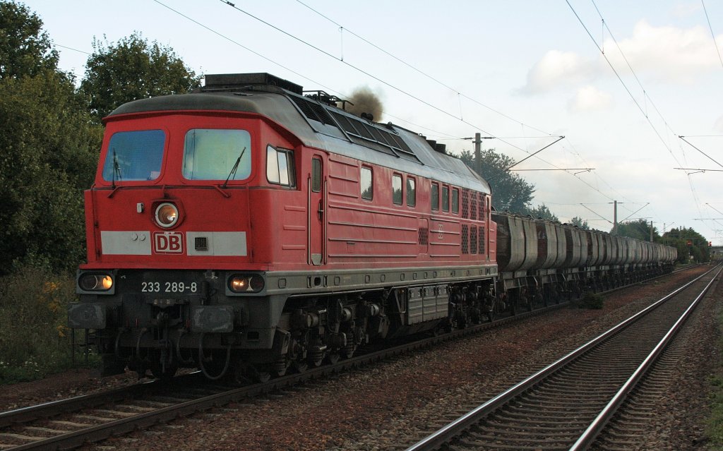 Grad noch rechtzeitig kahmen wir zum Zug des Tages. 233 289 mit einem Beton Zug gen Regensburg in  Kfering. (28.08.2010)