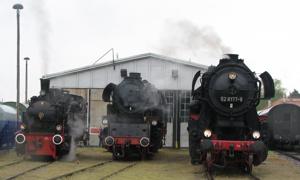 Gro (Ampflwang), grer (65 1057), am grten (52 8177),letztere aus Schneweide (Dampflokfreunde Berlin)zu Besuch bei den BEF in Basdorf, 01.05.08