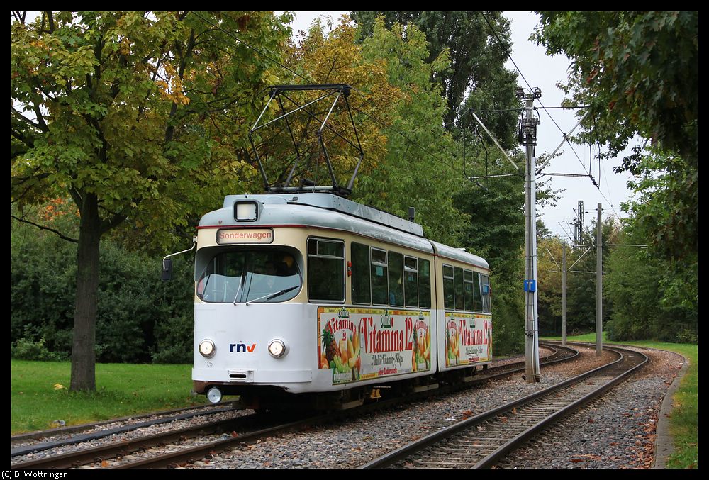 Gt 125 am 02. Oktober 2010 im VBLu-Centralpark, nahe der Haltestelle Marienkirche.

Hinweis fr Admins, die dies zur Besttigung ihrer administrativen Rechte bentigen: Dieses Bild entstand in Ludwigshafen.
