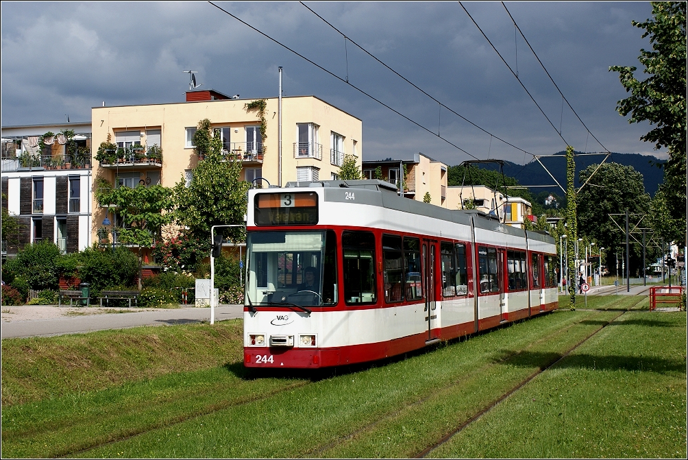GT8Z 244 im grnen Stadtteil Vauban (21. Juni 2010)
