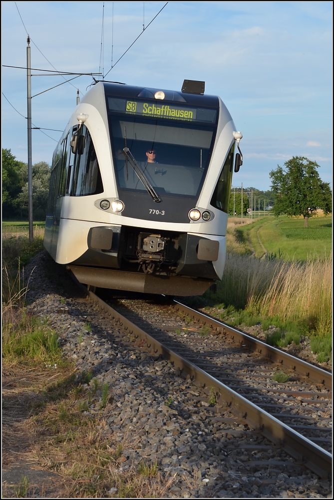 GTW der S8 entlang des Bodensees am Bahnübergang in Triboltingen. Juni 2011.