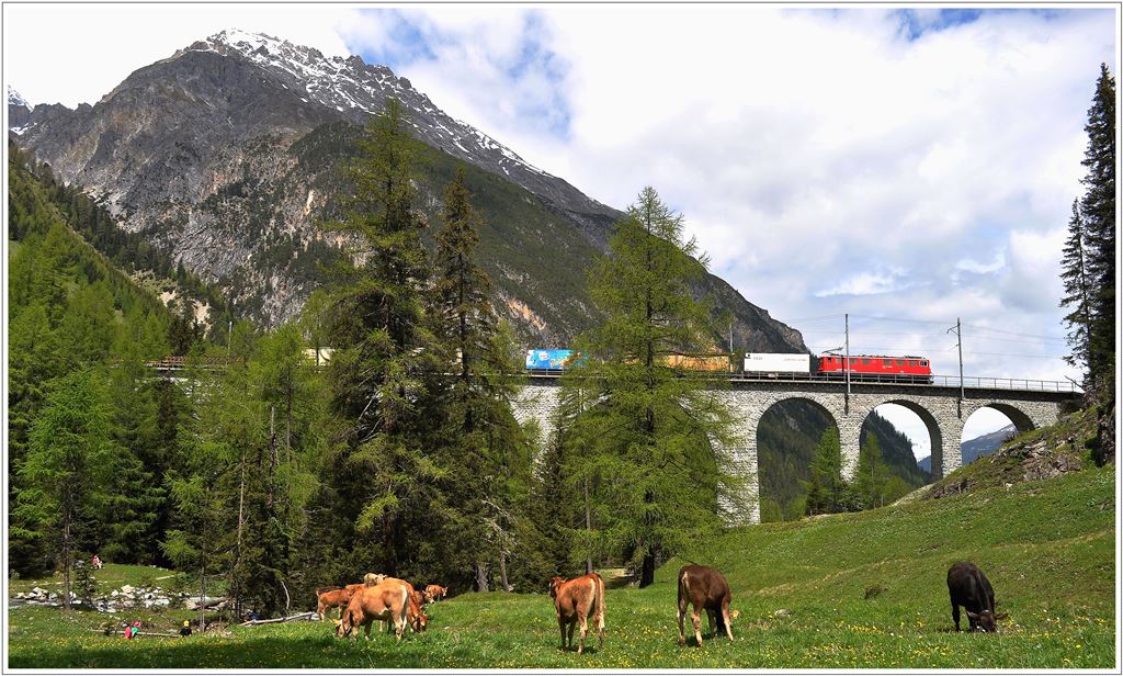 Gterzug 5140 mit Ge 6/6 II 703  St.Moritz  auf Talfahrt ber das Albulaviadukt III. (12.06.2013)