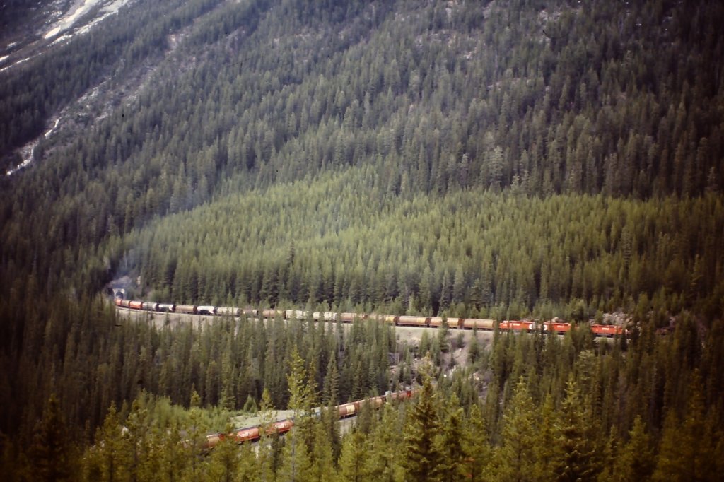 Gterzug der Canadian Pacific Railway mit drei SD40-2 (u. a. Nr. 6032) am Kicking-Horse Pass in dem Spiraltunnel bei Field am 25. Mai 1986.