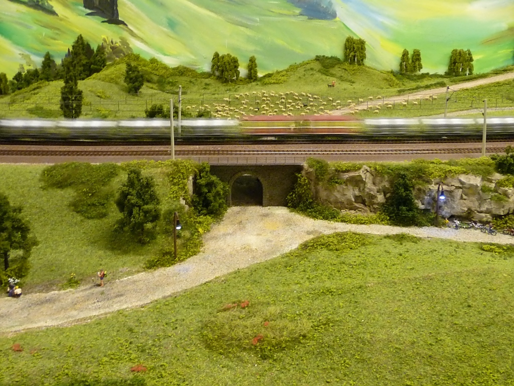 Gterzug vor Schafherde, auf der Schwarzwald-Modellbahn, 3.10.11