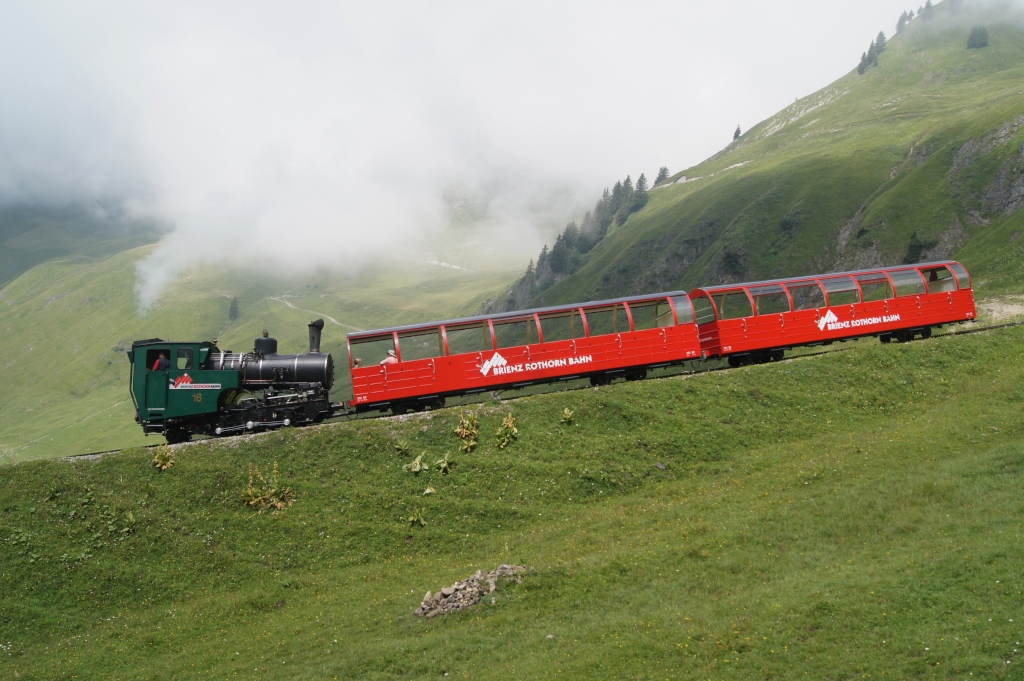 H 2/3 16 am 31.7.11 oberhalb von Planalp.