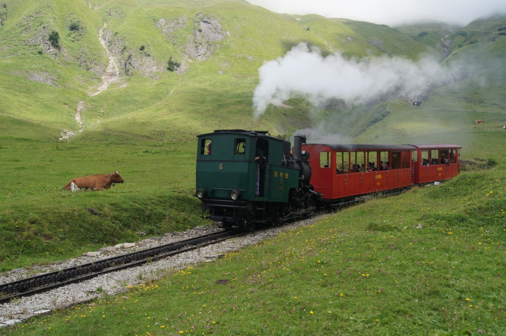 H 2/3 6 bremst ihren Zug am 31.7.11 talwrts. Aufgenommen oberhalb von Planalp.