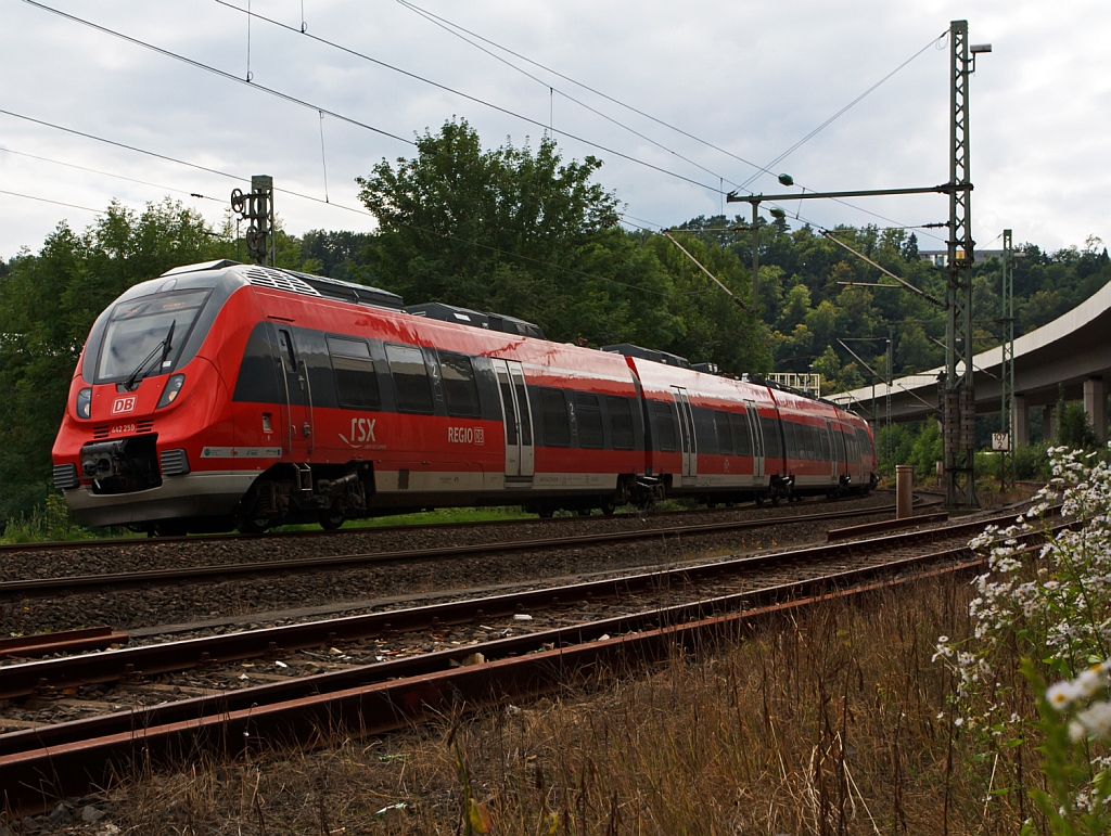 Hamsterbacken im Gleisbogen - 442 259 und 442 257 (Zwei gekuppelte 4-teilige Talent 2) als RE 9 (rsx - Rhein-Sieg-Express) Aachen - Kln - Siegen, hier am 27.07.2012 kurz vor dem Erreichen des Zielbahnhofes Siegen Hbf.