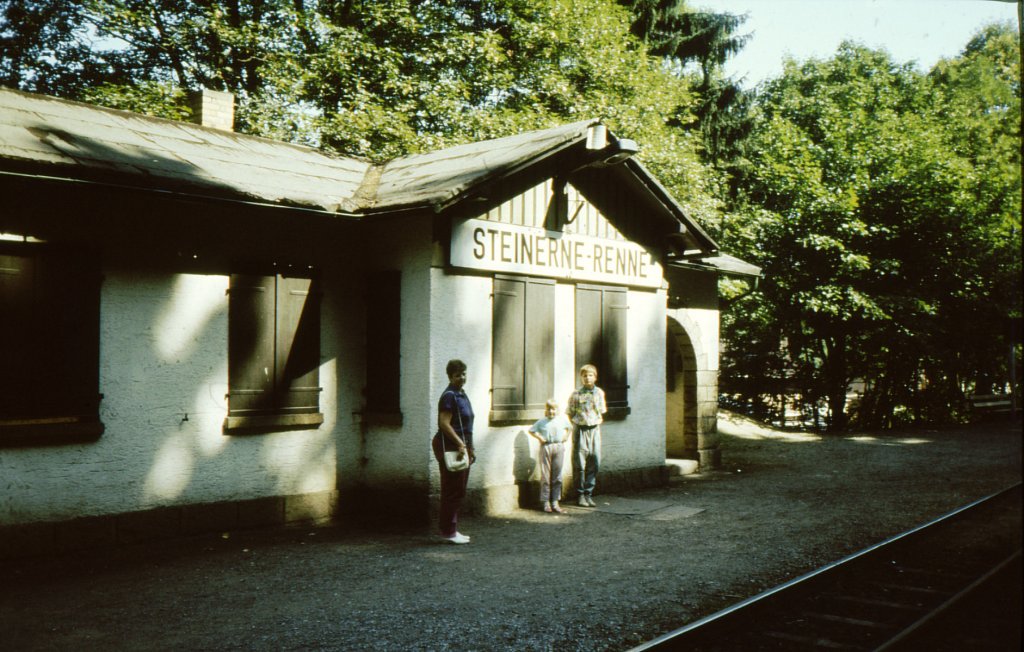 Harzquerbahn, Haltepunkt Steinerne Renne (August 1989) 