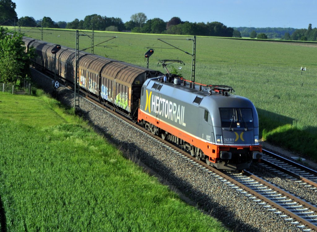 Hector Rail 242 517 (182 517)  FITZGERALD  befördert am 31.05.13 in Marl, NI) einen Schiebewandwagenzug in Richtung Osnabrück.