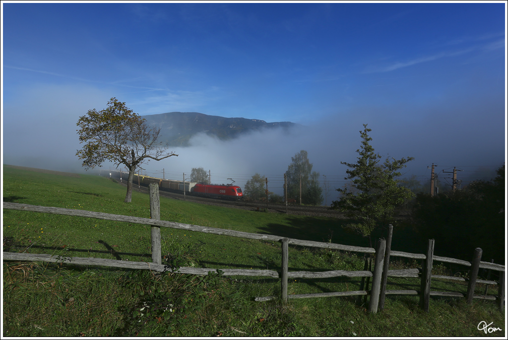 Herbst am Zauberberg - Eine 1016 zieht einen Innofreight Hackschnitzelzug ber die Apfelwiese nahe Eichberg.
18.10.2012
