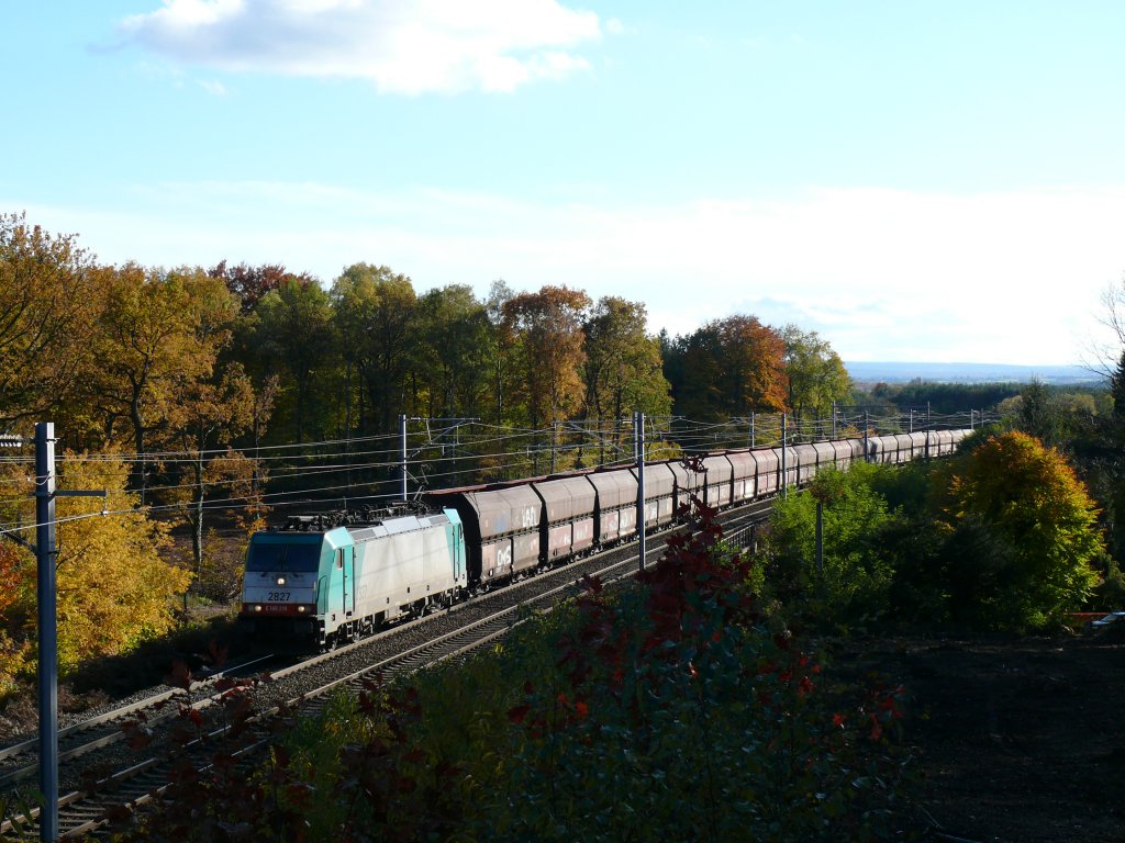 Herbst an der Montzenroute. 2827 (186 219) zieht einen Kohlezug durch den Wald bei Moresnet-Chapelle in Richtung Gemmenicher Tunnel. Aufgenommen am 31/10/2010.