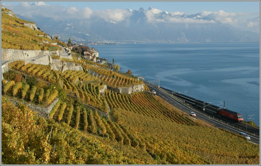 Herbst: nicht nur im Lavaux die wohl schnste Zeit...
29. Oktober 2012
