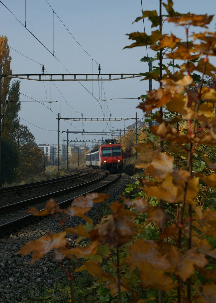Herbst! 
NPZ nach Villeneuve bei Lausanne am 1. November 2009
