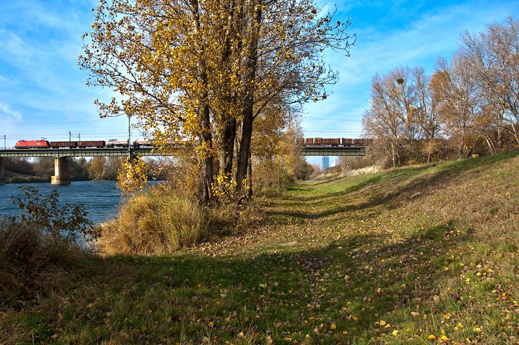 Herbst in Wien auf der Donauinsel: BR 1116 ist mit einem Gterzug zwischen Wien Lobau und Wien Praterkai unterwegs. Die Aufnahme entstand am Samstag, den 10.11.2012.