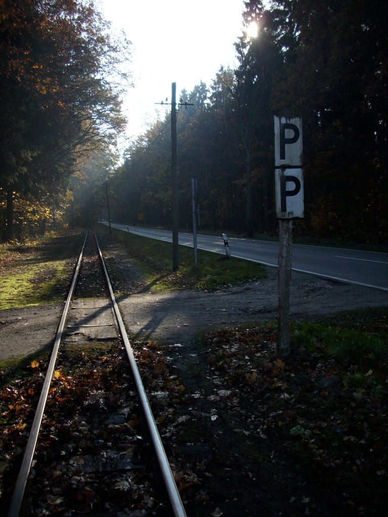 Herbststimmung beim Rasenden Roland.Aufgenommen an einem unbeschrankten Bahnbergang bei Philippshagen.Obwohl es Aussieht als ich htte ich die Aufnahme im Gleis gemacht entstand die Aufnahme neben dem Gleis !