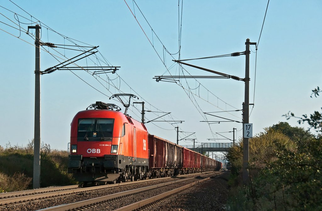Herbstzeit ist Zuckerrbenzeit. 1116 084 ist mit diesem vollen Rbenganzzug zwischen Gramatneusiedl und Himberg am 08.10.2010 unterwegs.