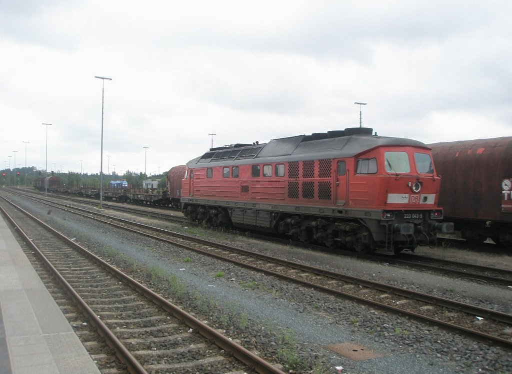 Hier 233 043-9, bei der Durchfahrt am 18.8.2010 durch Hof Hbf.