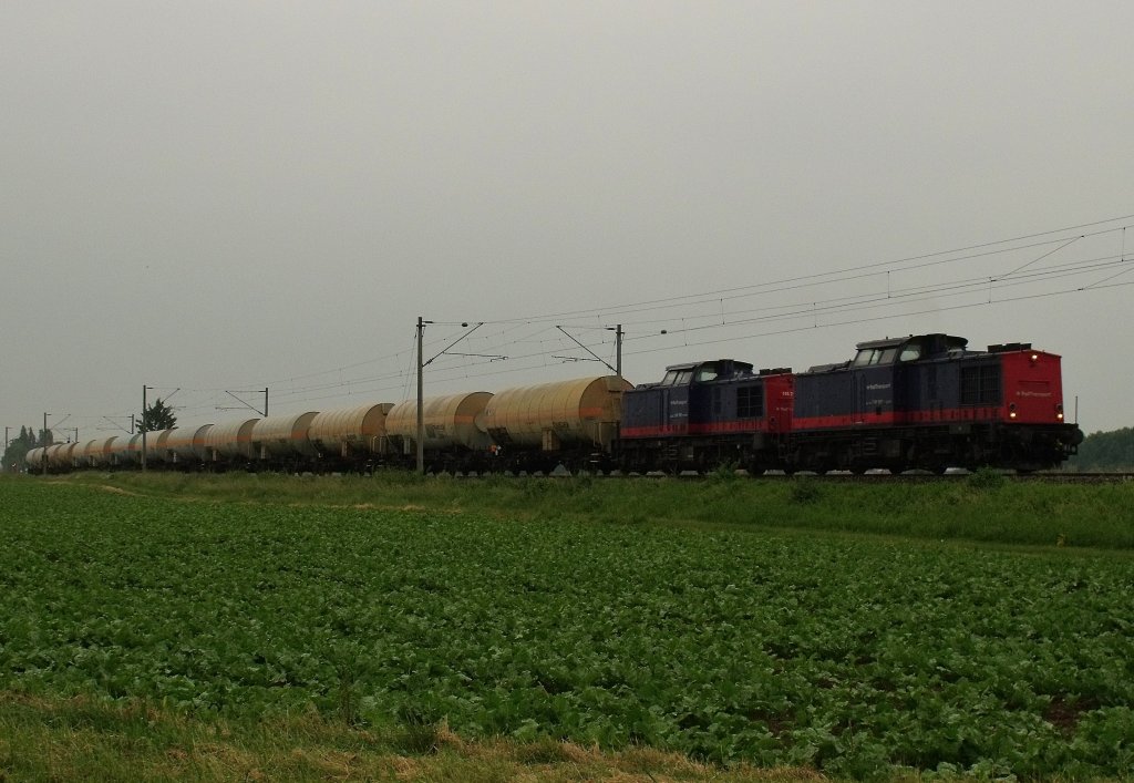 Hier 2x privat BR 203 vor einem Kessler in Kfering. (16.06.2010)