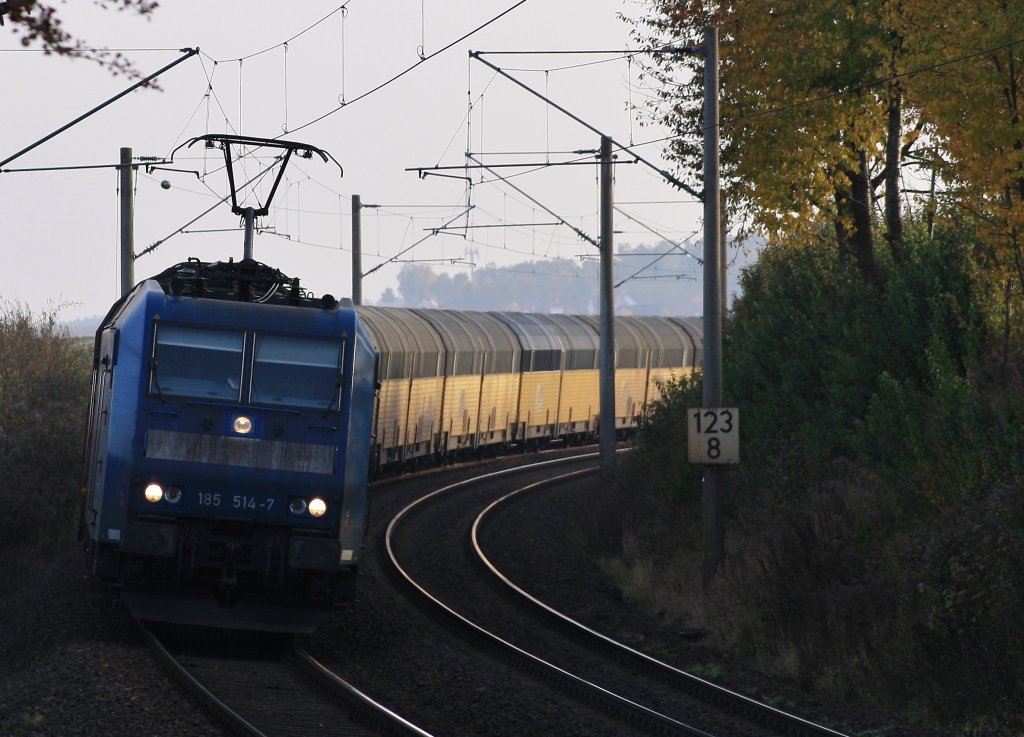 Hier der Altmann mit LTE 185 514 -7 in Alteglofsheim am 28.10.2011 .