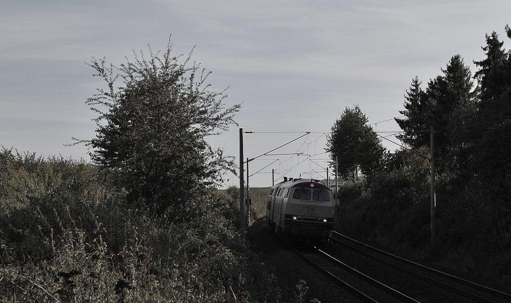 Hier am 22.09.2010 in Alteglofsheim 217 022 und 217 071 .