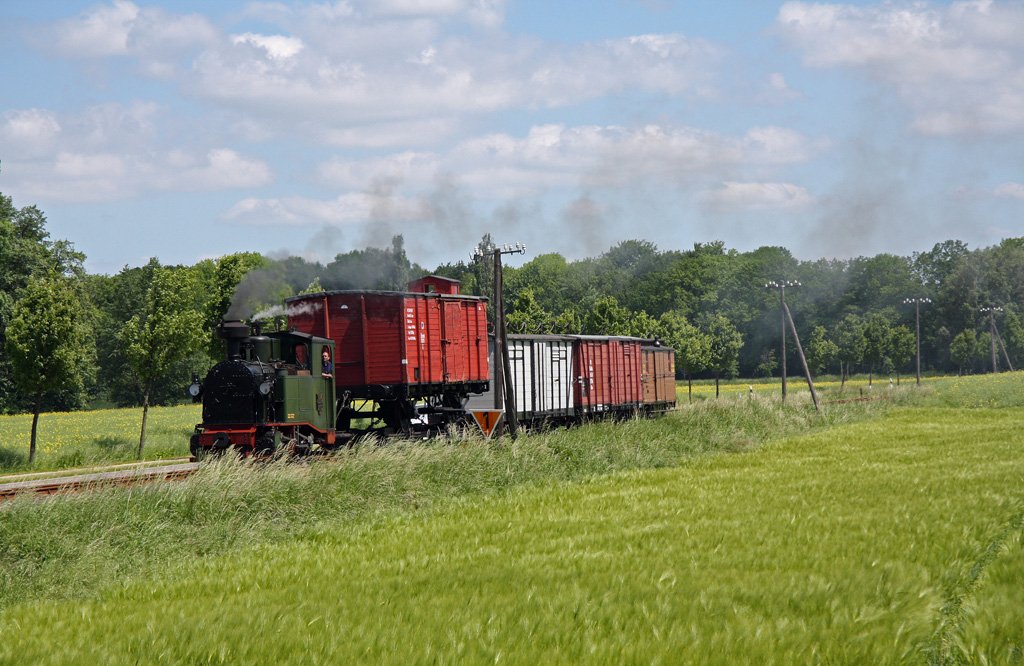 Hier erreicht der aus Oschatz kommende Zug am 04.06.2010 Grauschwitz-Flocke.