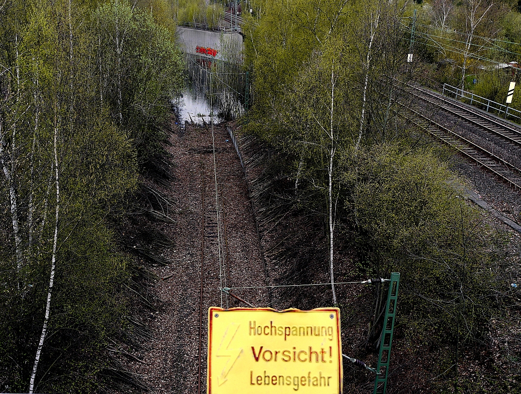 Hier fliet schon lange kein Strom mehr: Zufahrtsgleis zum ehemaligen Postbahnhof  Kaltenkirchner Platz  in Hamburg-Altona - inzwischen ein Biotop. 27.4.2013
