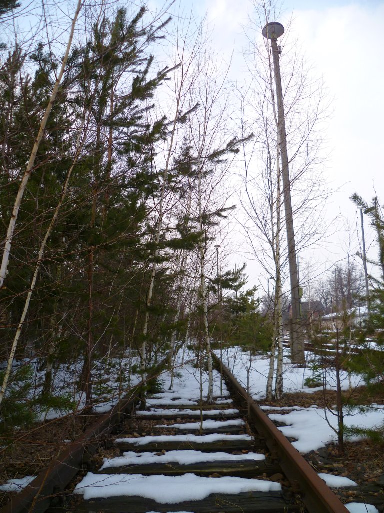 Hier mal paar Bilder vom Stillgelegten Bahnhof in Auma am 29.03.13.