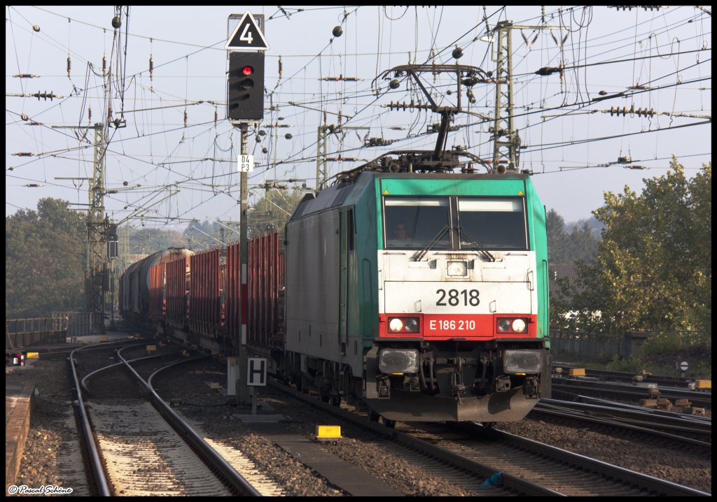 Hier mal wieder eine Cobra-Lok, diesmal mit der Nummer 2818. 
Diese zog einen Gz mit gemischter Fracht aus Richtung Kln durch den Aachener Hauptbahnhof.
13.10.10 15:53