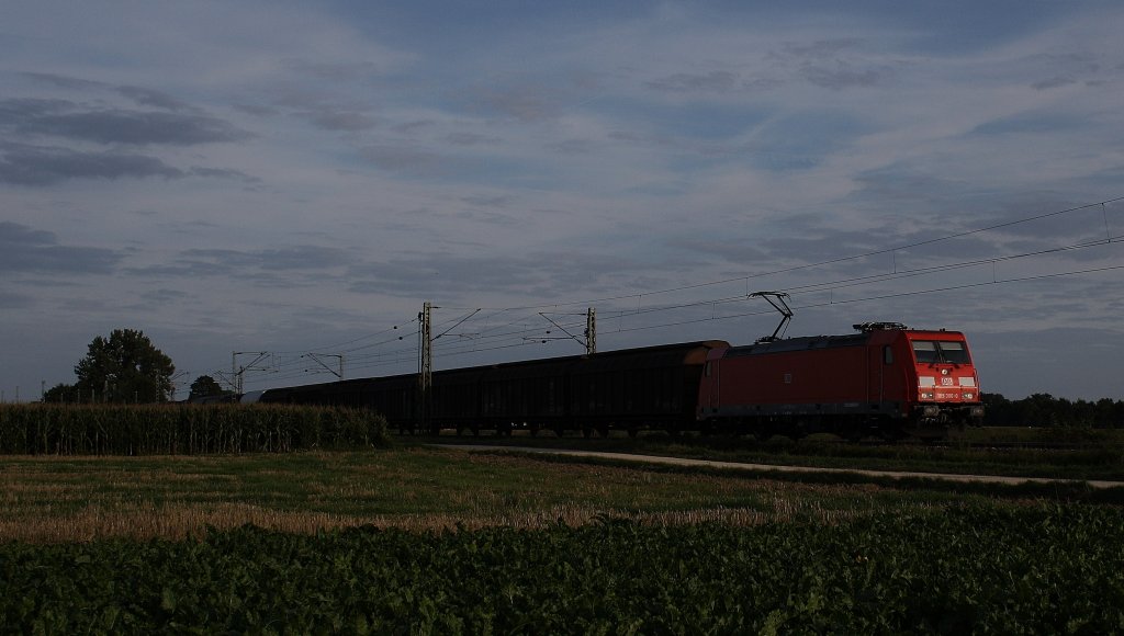 Hier in Mangolding 185 386 -0 am 03.09.2010 .