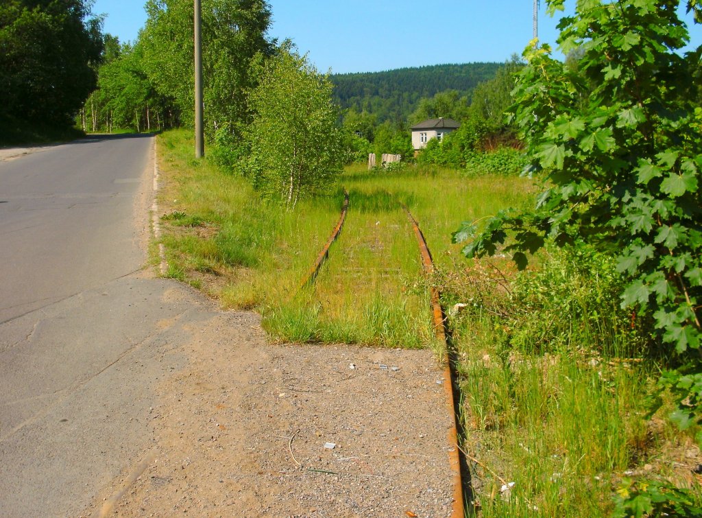 Hier nochmal das Anschlussgleis des Schrotthandels an den Bahnhof Zella-Mehlis mit Blickrichtung Bahnhof. da das Gleis nicht mehr genutzt wird,ist alles schon stark zu gewuchert. 5.6.11