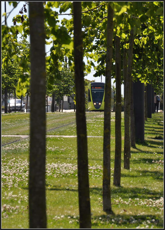 Hinter Bäumen - 

Citadis 108 auf dem Rasenbahnkörper zwischen den Haltestellen  Georges Hébert  und  Neufchâtel  in Reims. 

23.07.2012 (J)