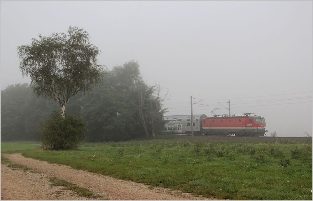 Hochnebel im Tullnerfeld - Regionalzug 7153 (Krems - Wien FJB) am Morgen des 26. September 2012 bei Muckendorf.