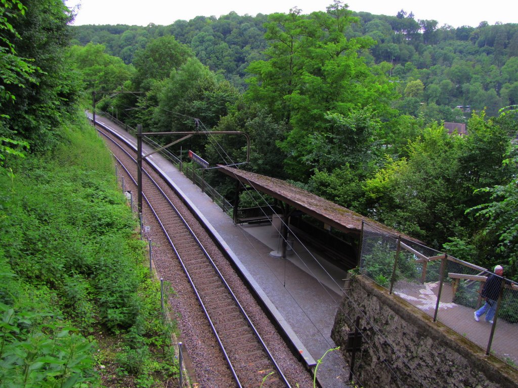 Hp Schloss Laufen am Rheinfall; 21.06.2010