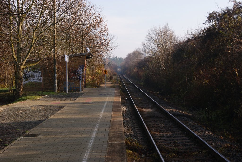 HP Weienfels-West ( Blickrichtung Langendorf ) welcher trotz regelmigem Bahnbetrieb dem Vandalismus freien lauf gelassen wird,Stationsschild auf dem Wartehuschen und jenes selber zeugen davon. am 21.11.2010