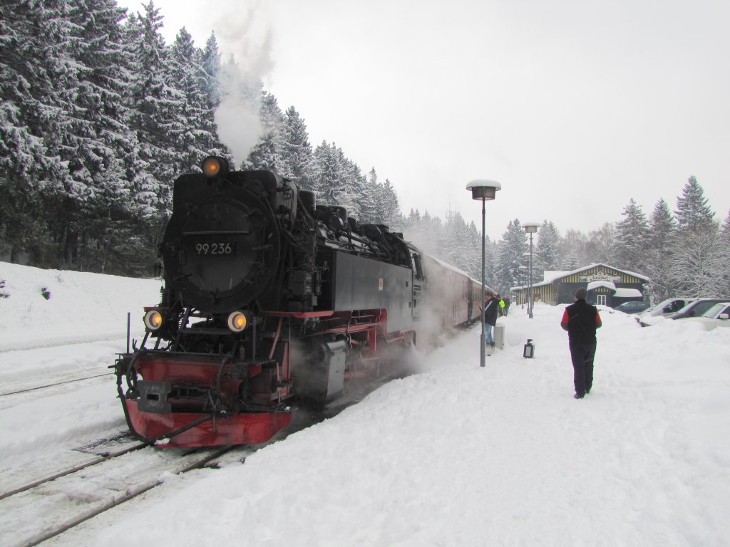 HSB 99 236, seit Drei Annen Hohne am Zug, mit der HSB 8920 von Nordhausen Nord zum Brocken, am 29.03.2013 im Bf Schierke.