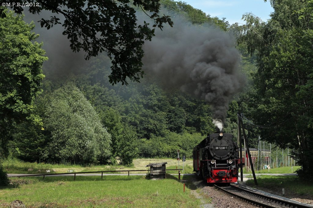 HSB 99 7238 war am 24.7.2012 mit dem P8937 zwischen Wernigerode-Hasserode und Steinerner Renne unterwegs.