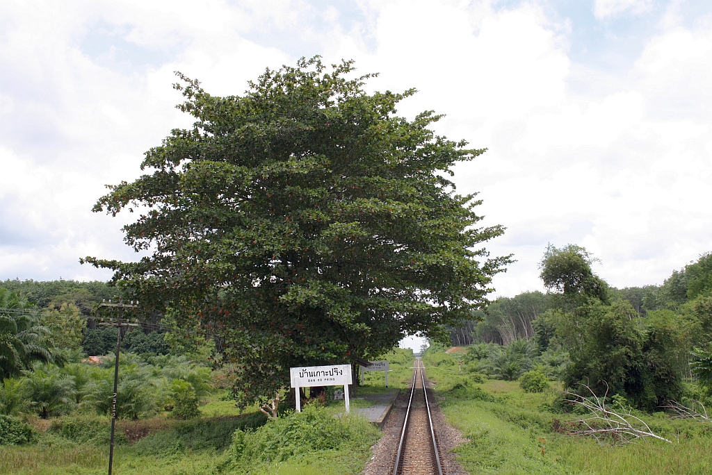 Hst. Ban Ko Pring, Blickrichtung Ban Thung Pho Jn., am 24.August 2011.