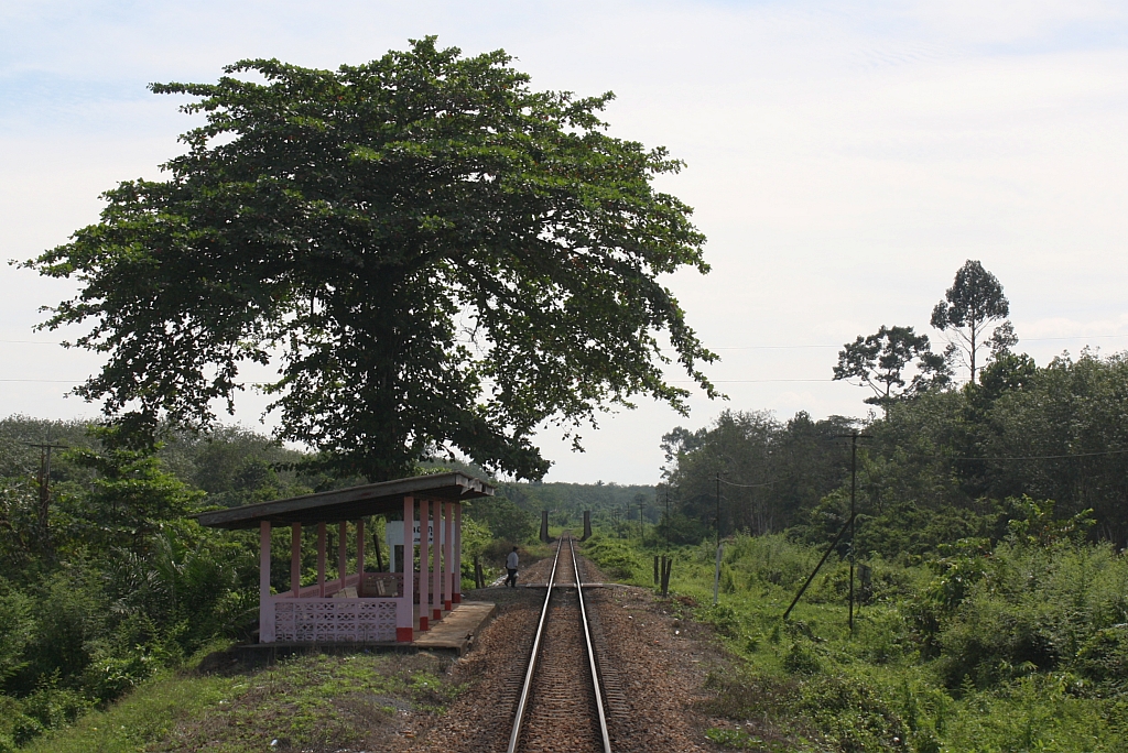 Hst. Klong Kuwi, Blickrichtung Thung Song Jn., am 07.Jnner 2013. 


